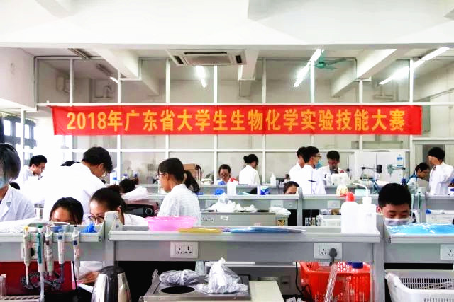 sunbet申搏学生荣获广东省生物化学实验技能大赛二等奖02.jpg